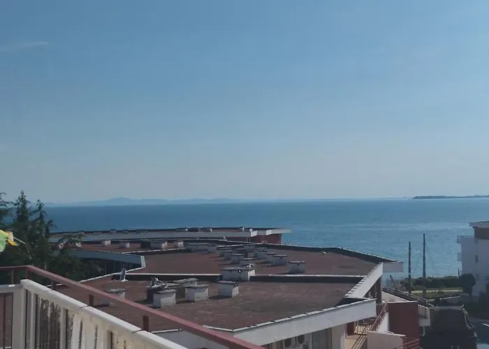 Yana Privilege Elinite Elenite